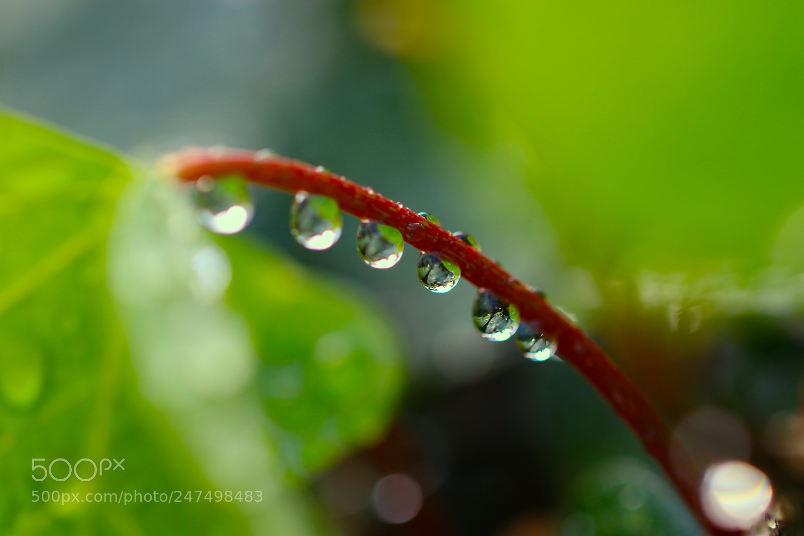 Canon EOS 7D Mark II sample photo. Untitled photography