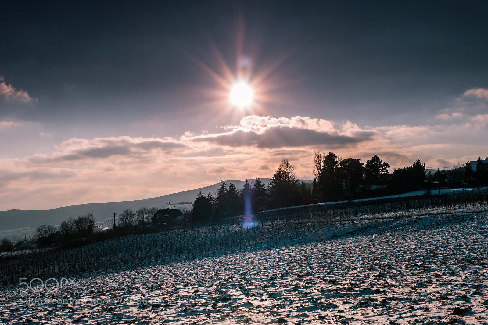 Panasonic Lumix DMC-G6 sample photo. Almost a sunstar photography