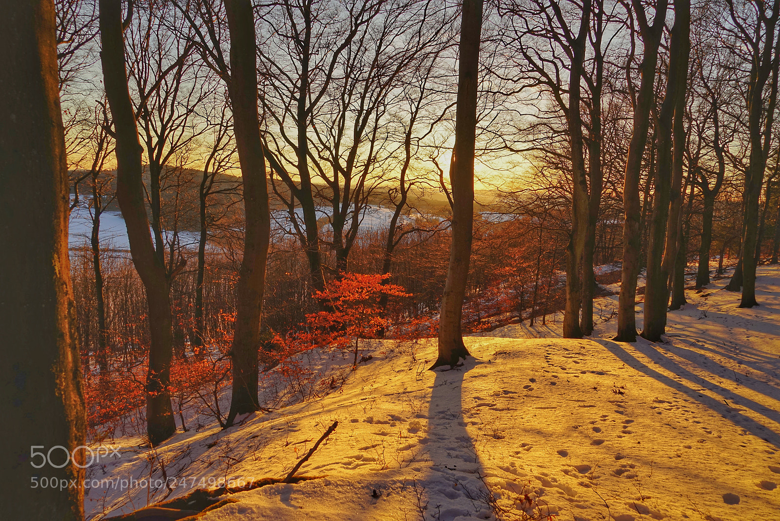 Sony a7R sample photo. Sonnenuntergang am ernstberg photography