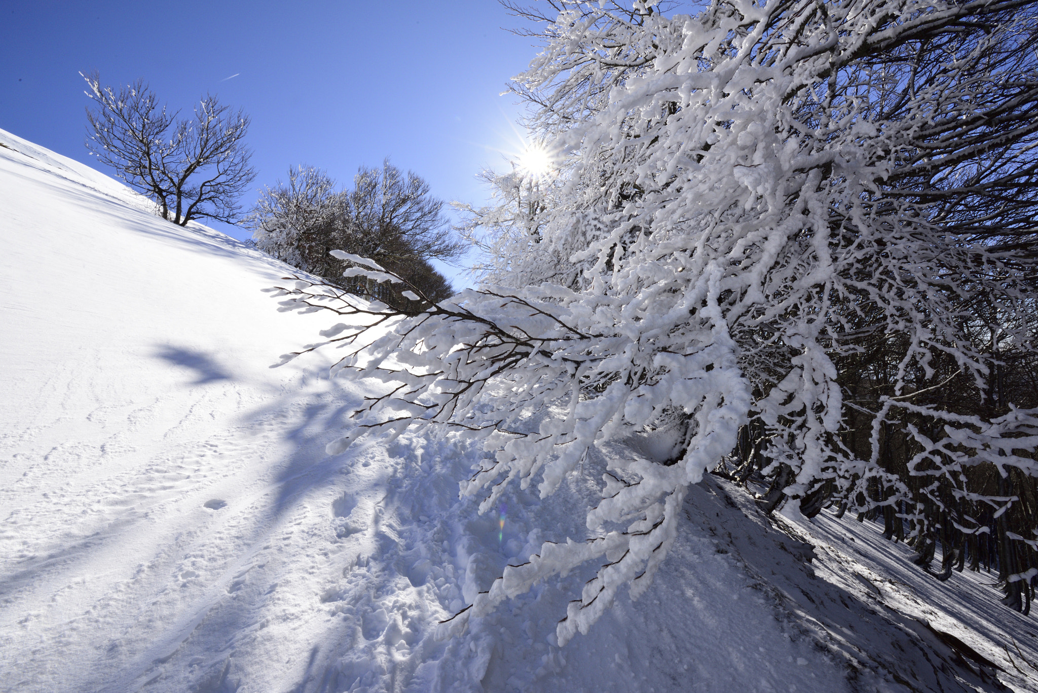 Nikon AF-S Nikkor 14-24mm F2.8G ED sample photo. Frozen photography