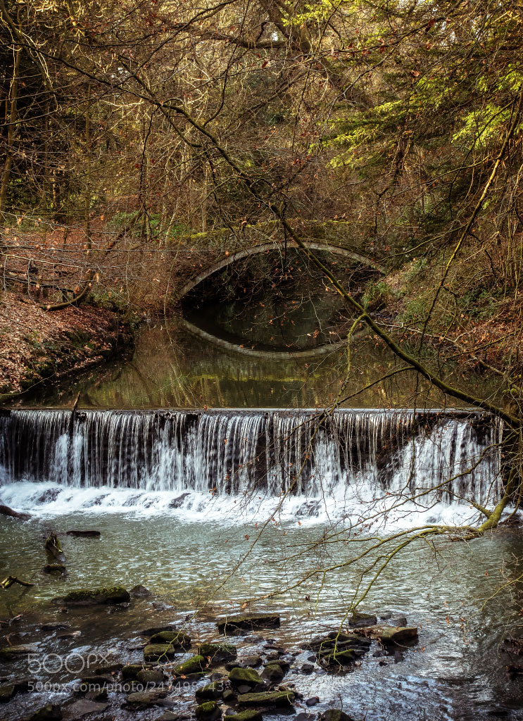 Sony Cyber-shot DSC-RX100 IV sample photo. Jesmond dene photography