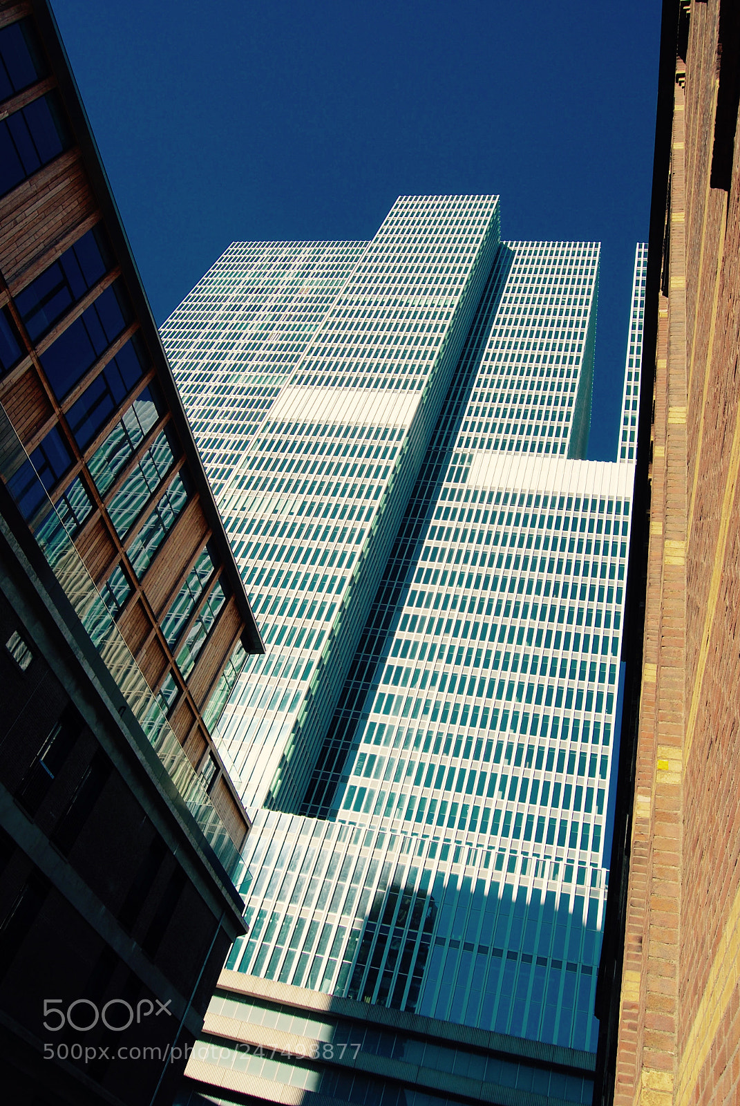 Nikon D60 sample photo. Untitled photography