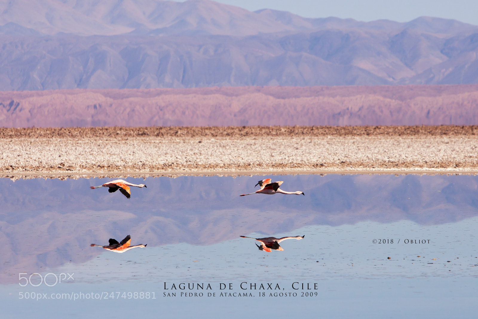 Canon EOS 50D sample photo. Laguna de chaxa, cile photography