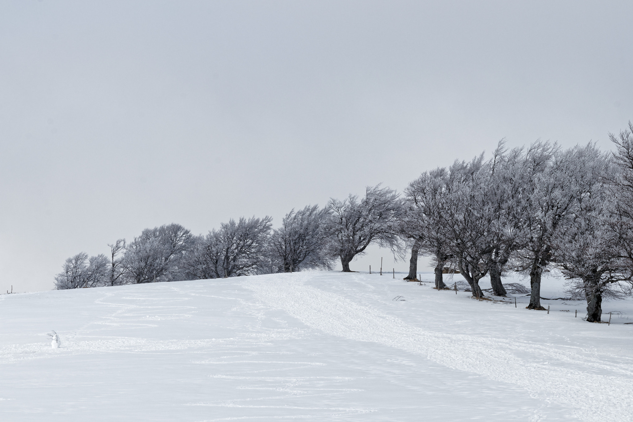 Canon EF 70-300mm F4-5.6 IS USM sample photo. Trees and snowman photography