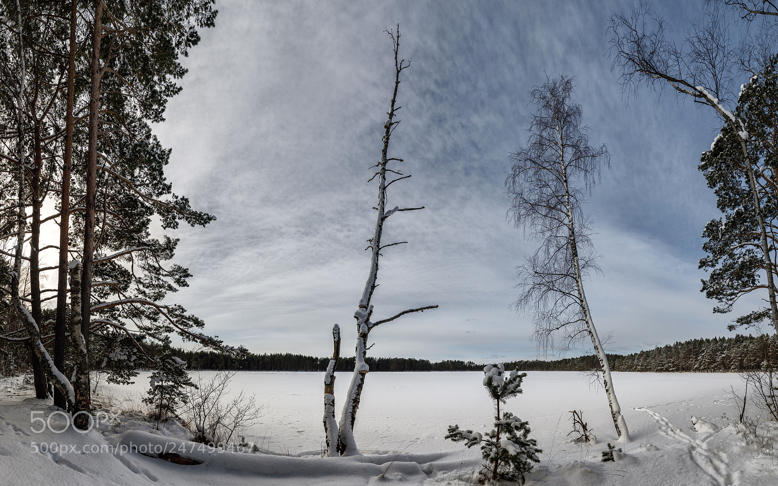 Nikon D810 sample photo. Winter landscape - forest photography