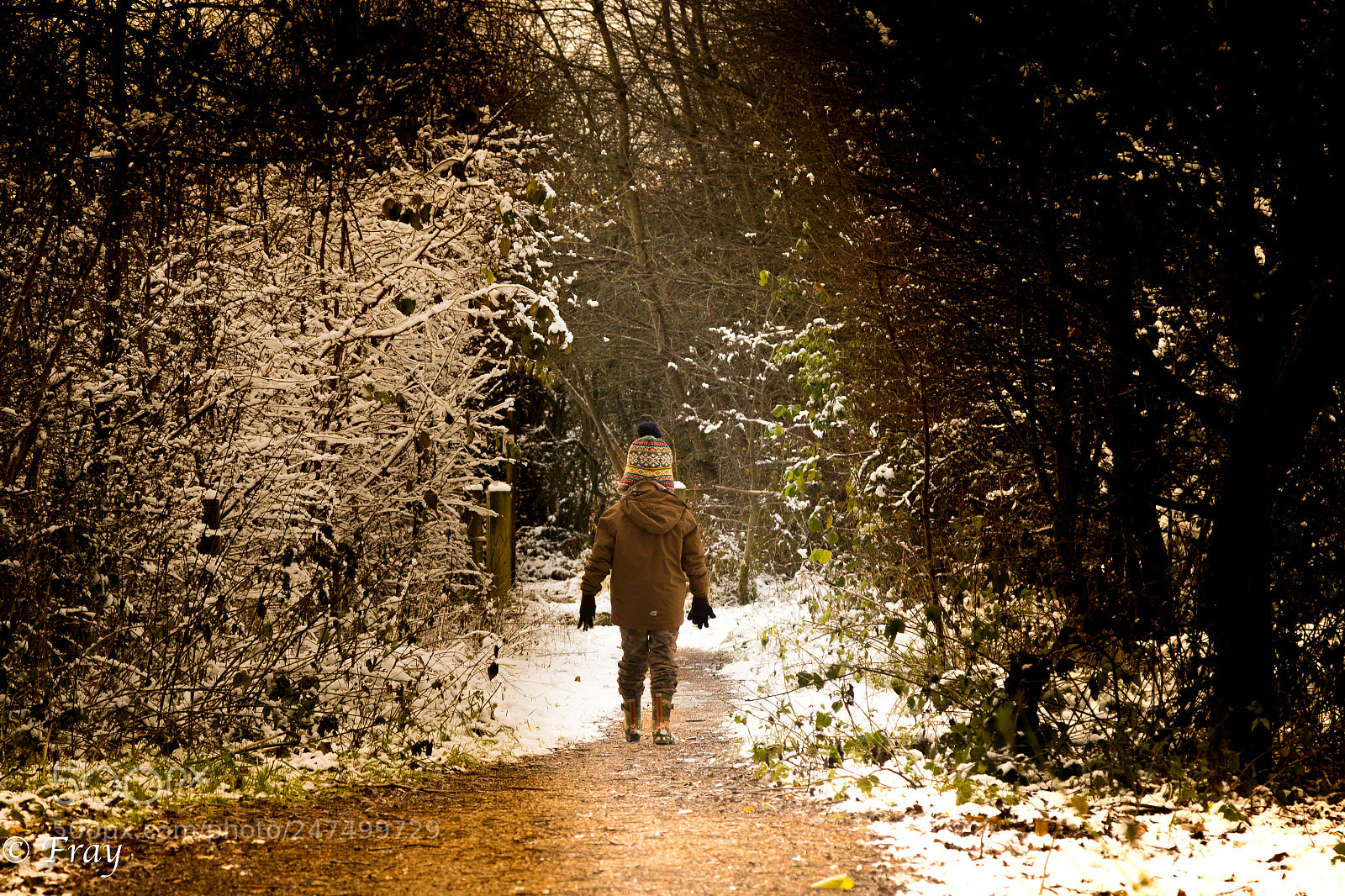 Canon EOS 7D Mark II sample photo. A lonely walk photography