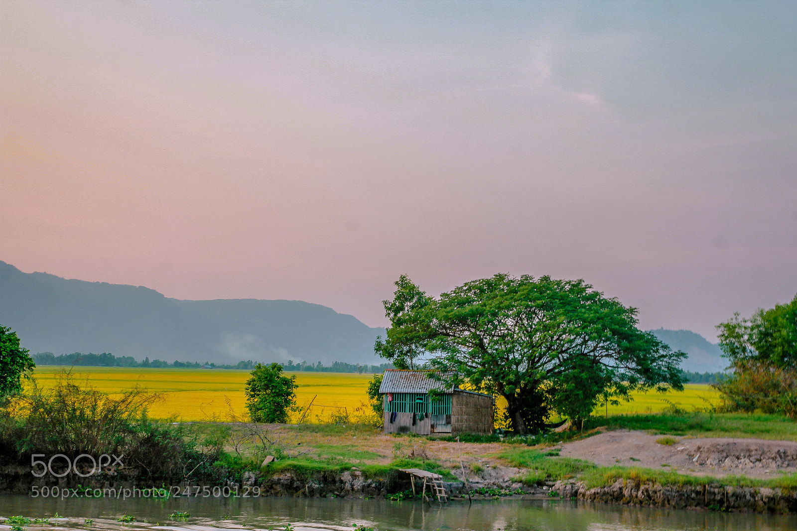 Canon EOS 60D sample photo. An giang photography
