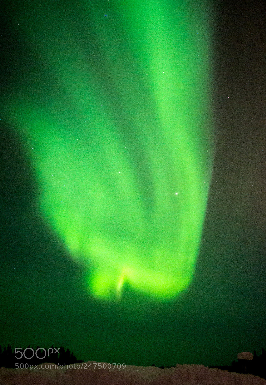 Nikon D3100 sample photo. Northern lights in alaska photography