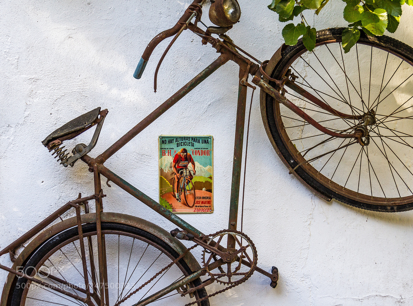 Canon EOS 600D (Rebel EOS T3i / EOS Kiss X5) sample photo. Vintage bicycle photography