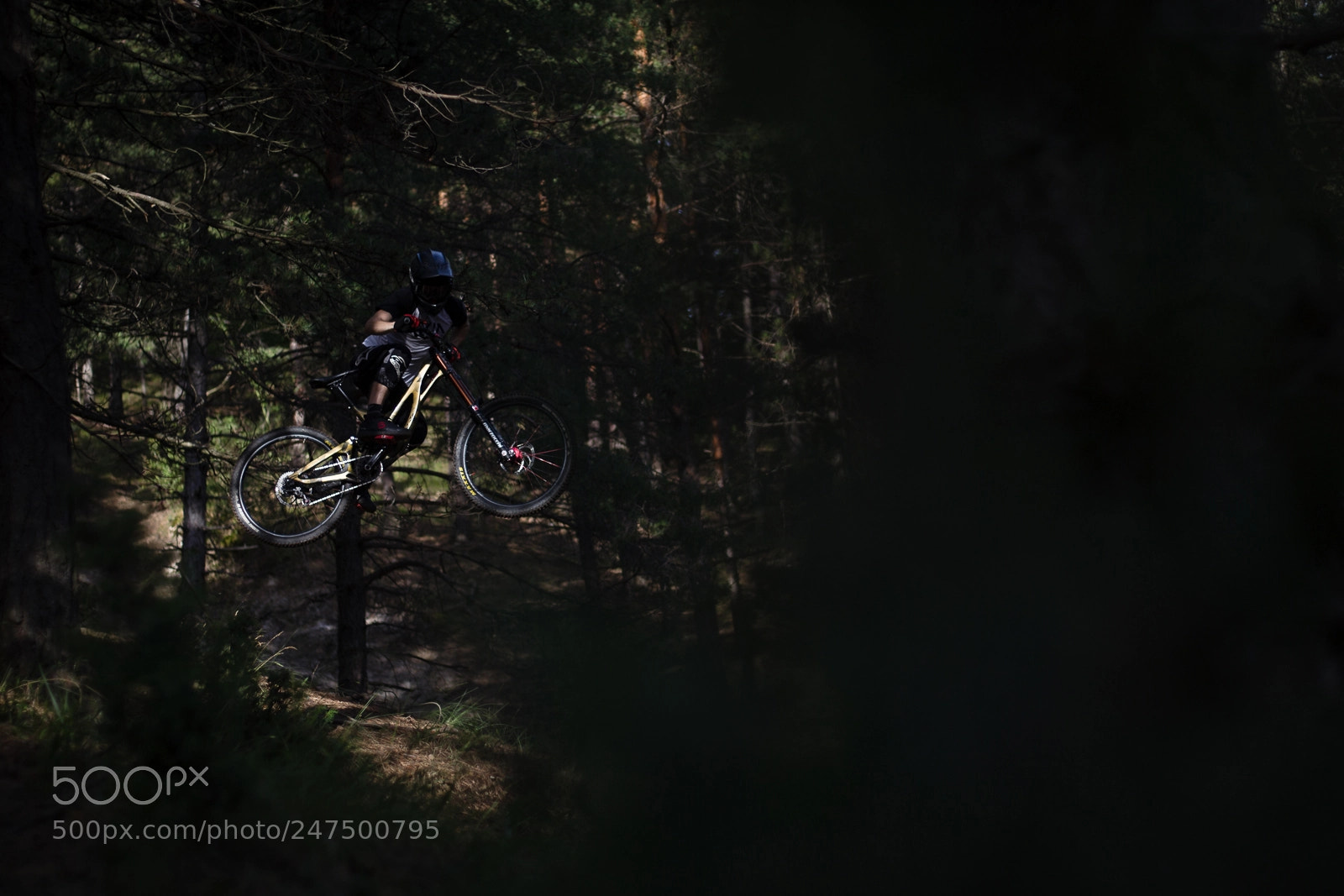 Canon EOS-1D Mark IV sample photo. Shine bright like a... photography