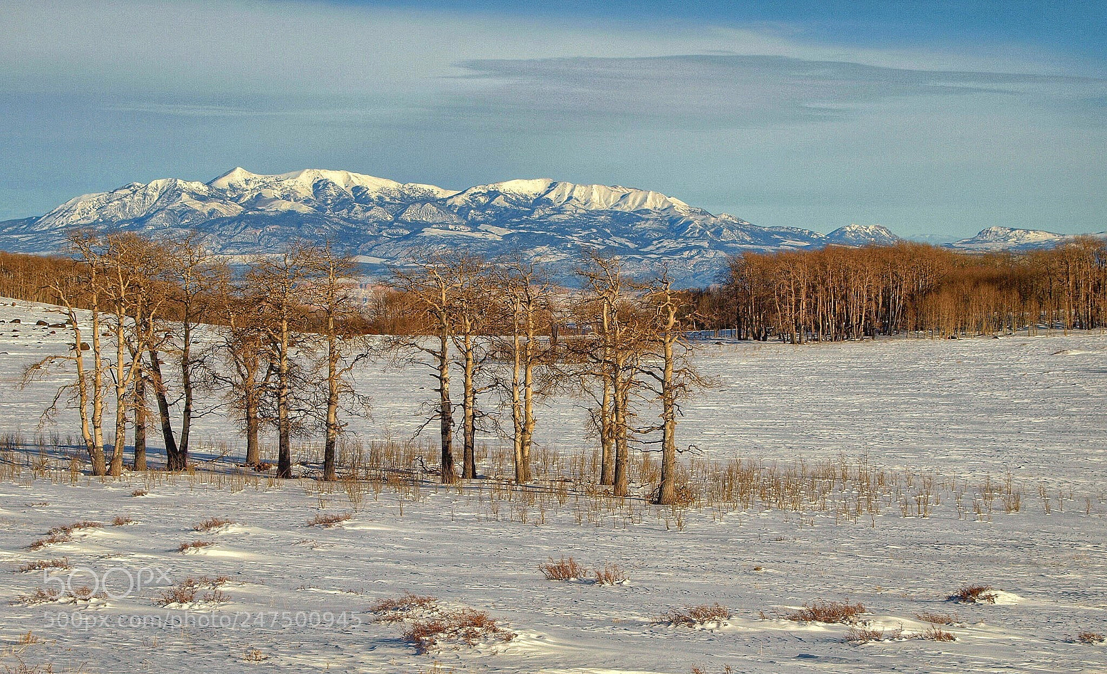 Olympus E-3 sample photo. Snowy pass, new mexico photography