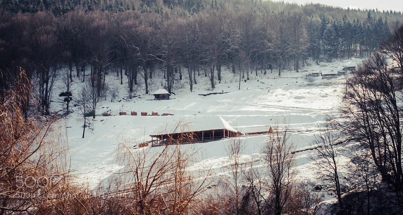 Nikon D300S sample photo. Winter in maramureș photography