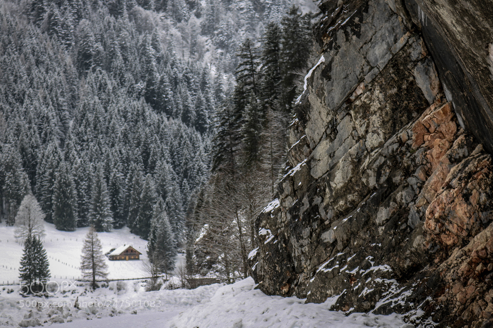 Canon EOS 750D (EOS Rebel T6i / EOS Kiss X8i) sample photo. Winterwanderung... photography