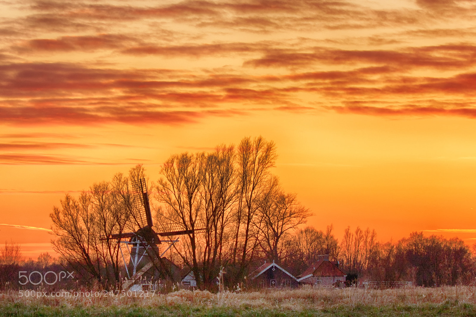 Canon EOS 7D Mark II sample photo. Dutch sunset photography