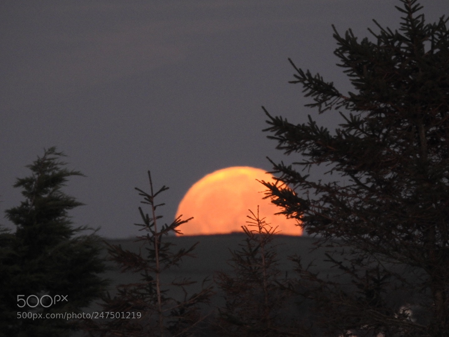 Nikon Coolpix P900 sample photo. Supermoon photography