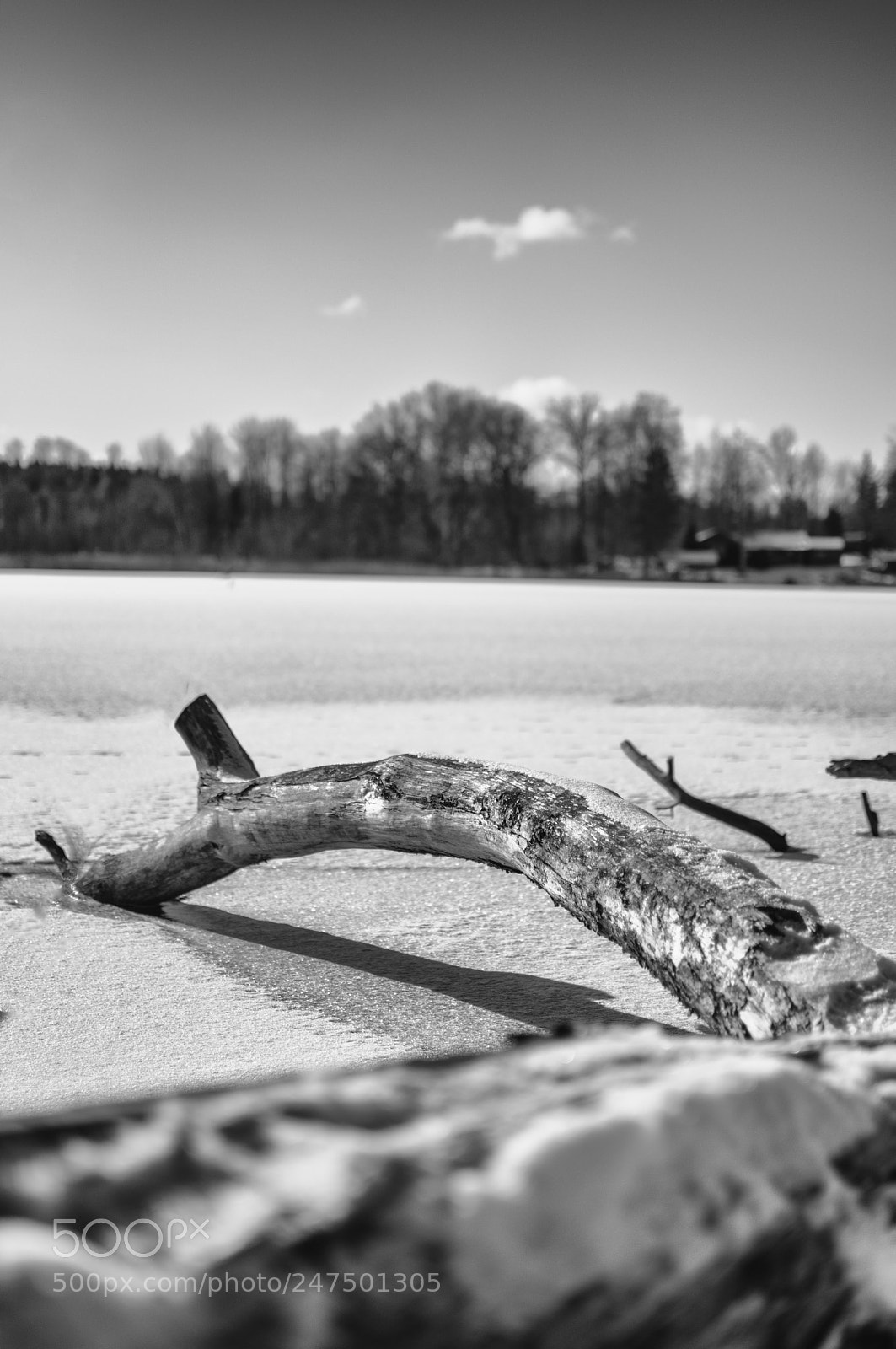 Nikon D7100 sample photo. Frozen photography