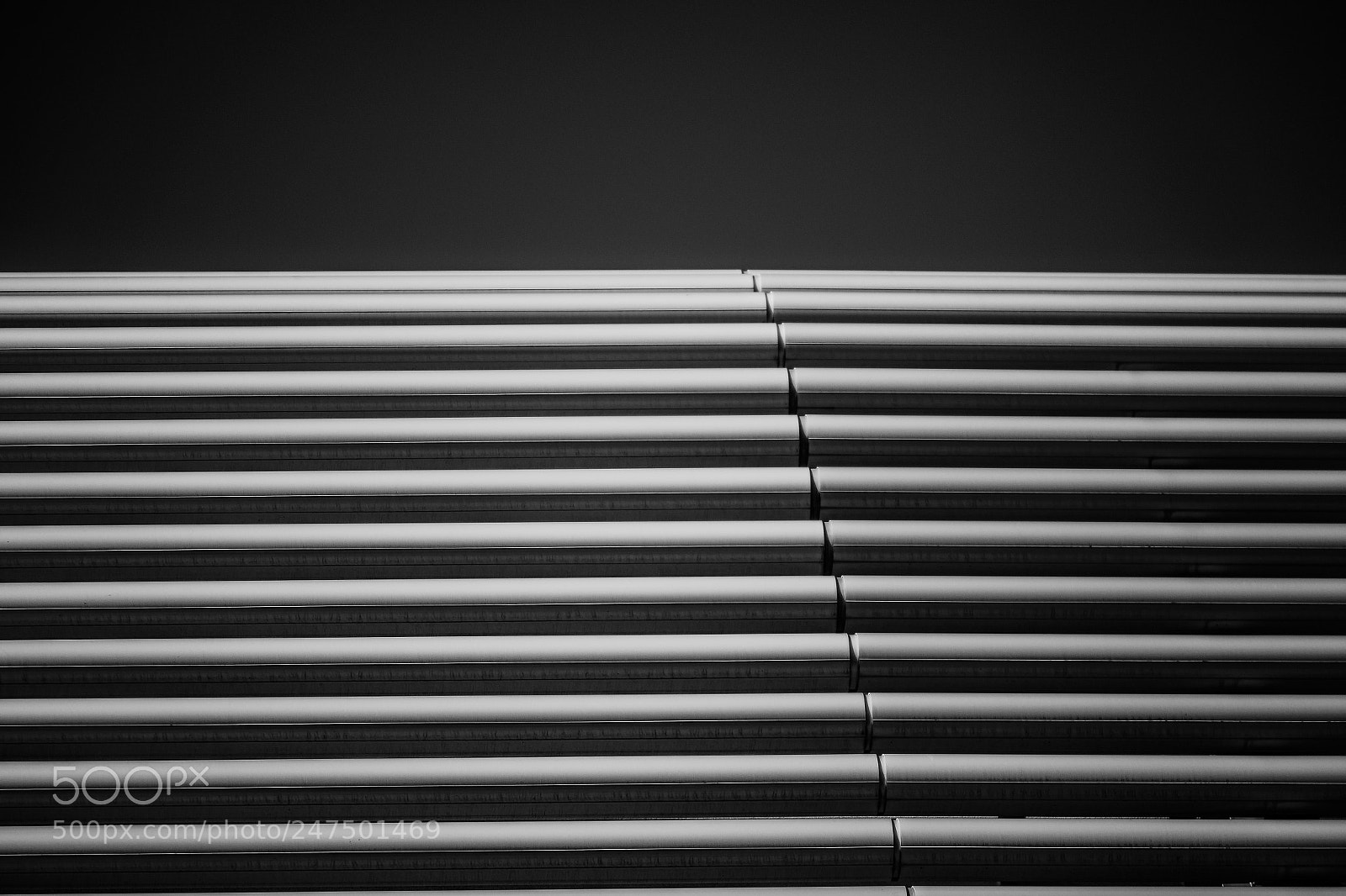 Panasonic Lumix DC-G9 sample photo. Zob muc photography