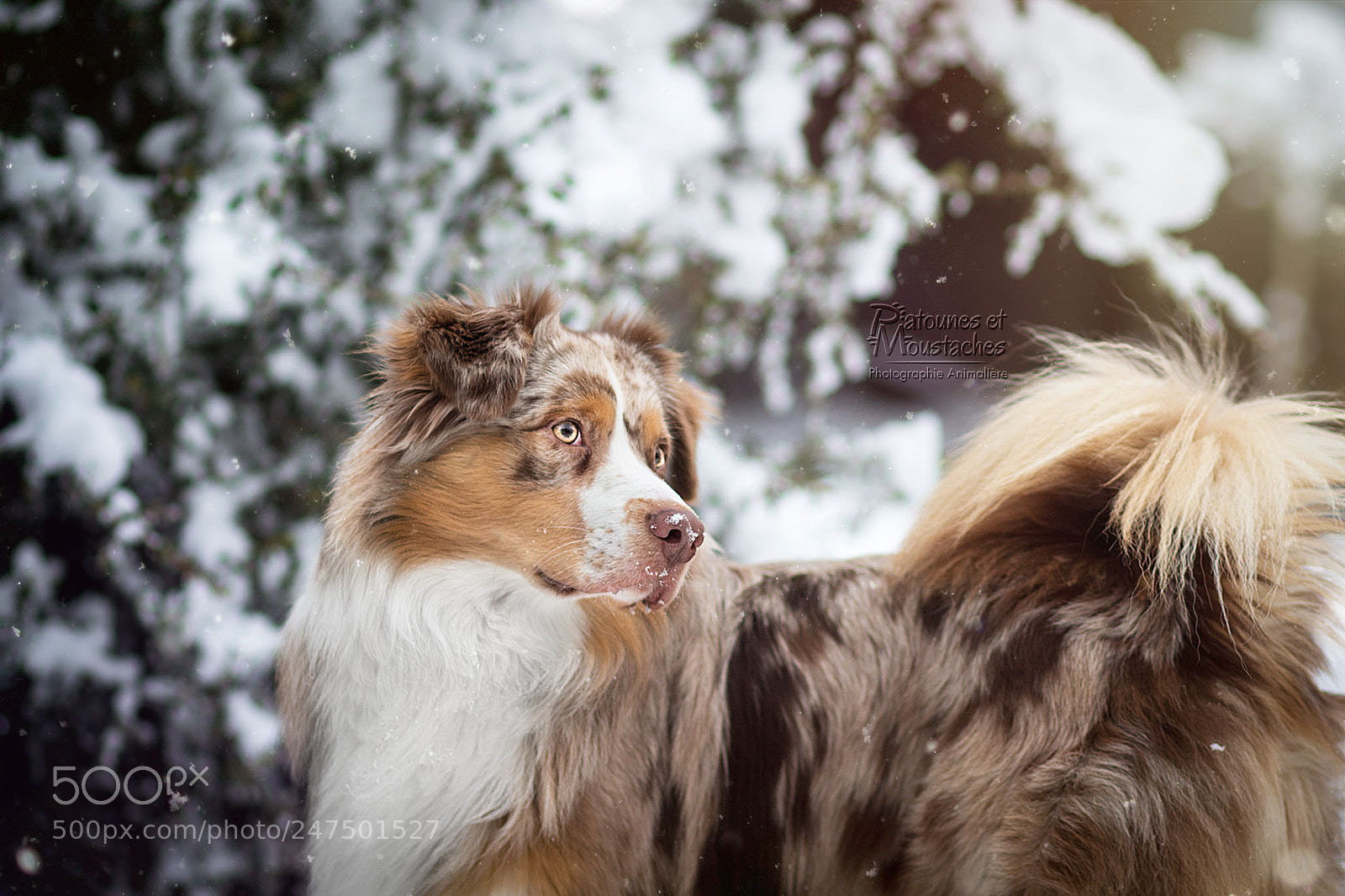 Canon EOS 7D Mark II sample photo. Marvel photography