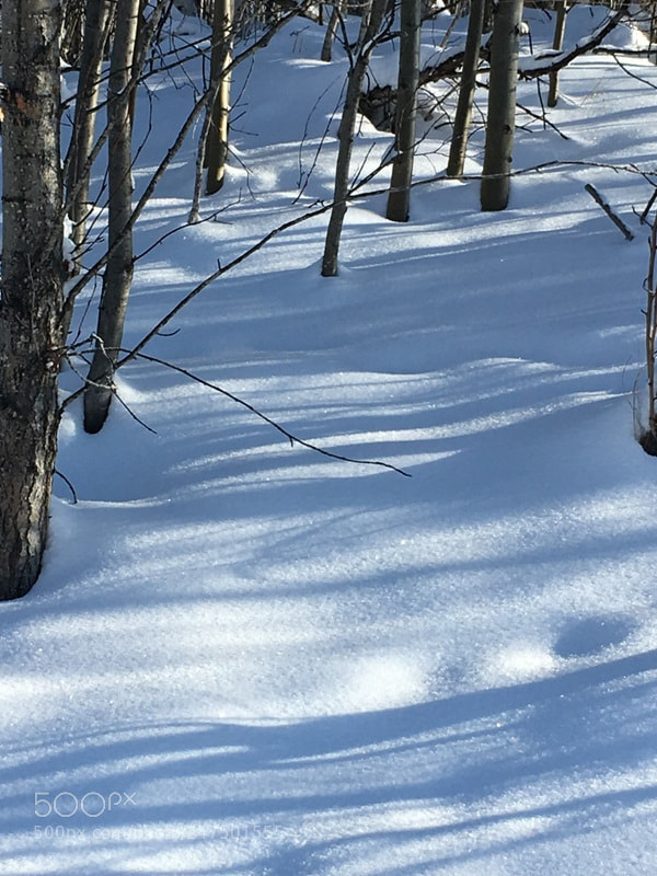 Apple iPhone 6s sample photo. Pristine snow trail photography