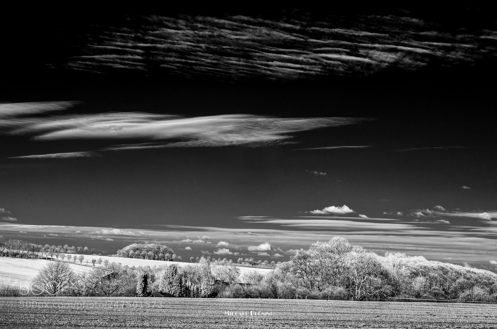 Nikon D5100 sample photo. Stripes photography