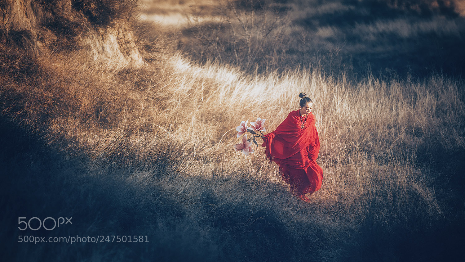 Canon EOS 5DS R sample photo. Untitled photography