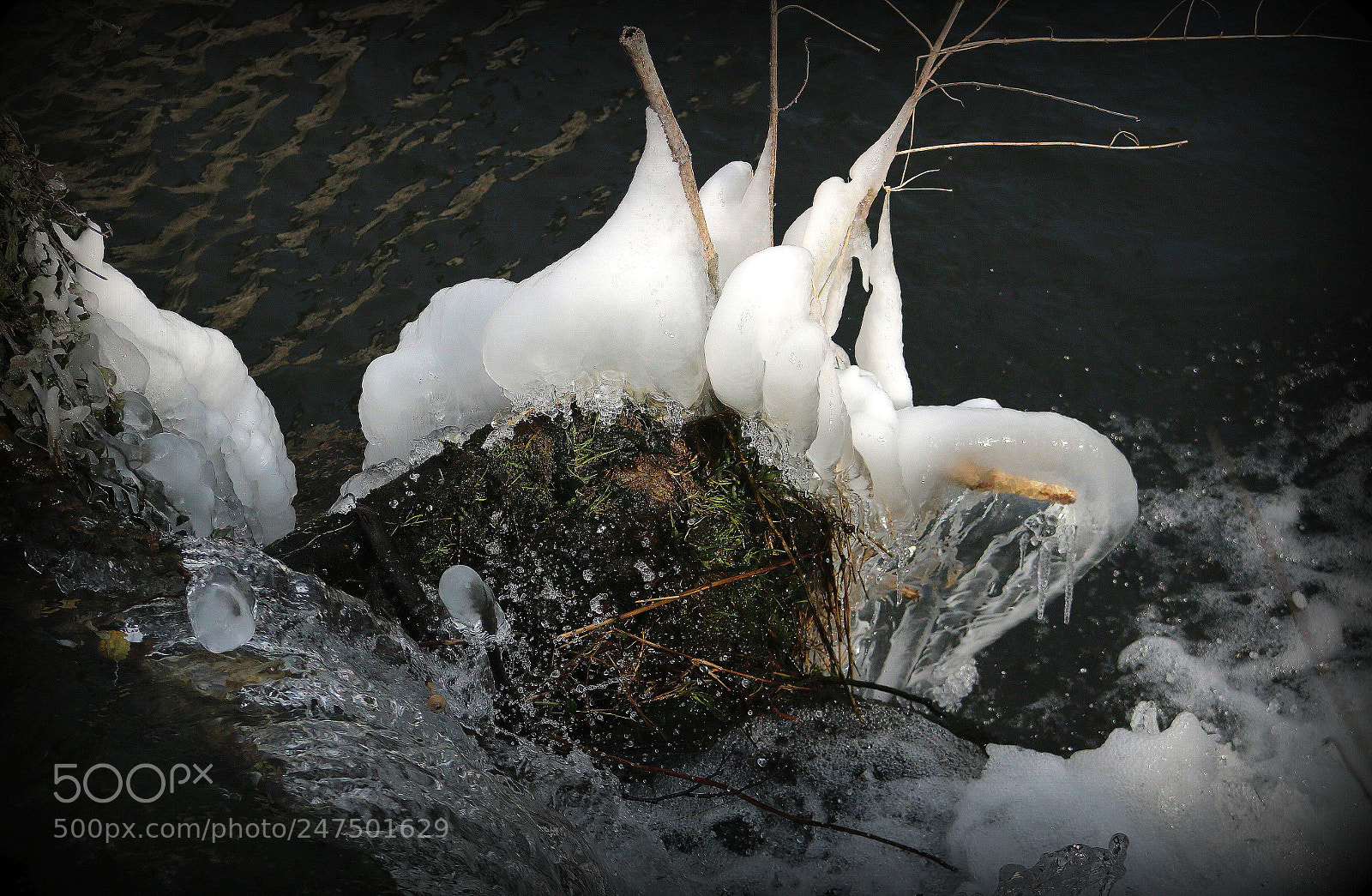 Canon EOS 750D (EOS Rebel T6i / EOS Kiss X8i) sample photo. "kleine eisberge" photography