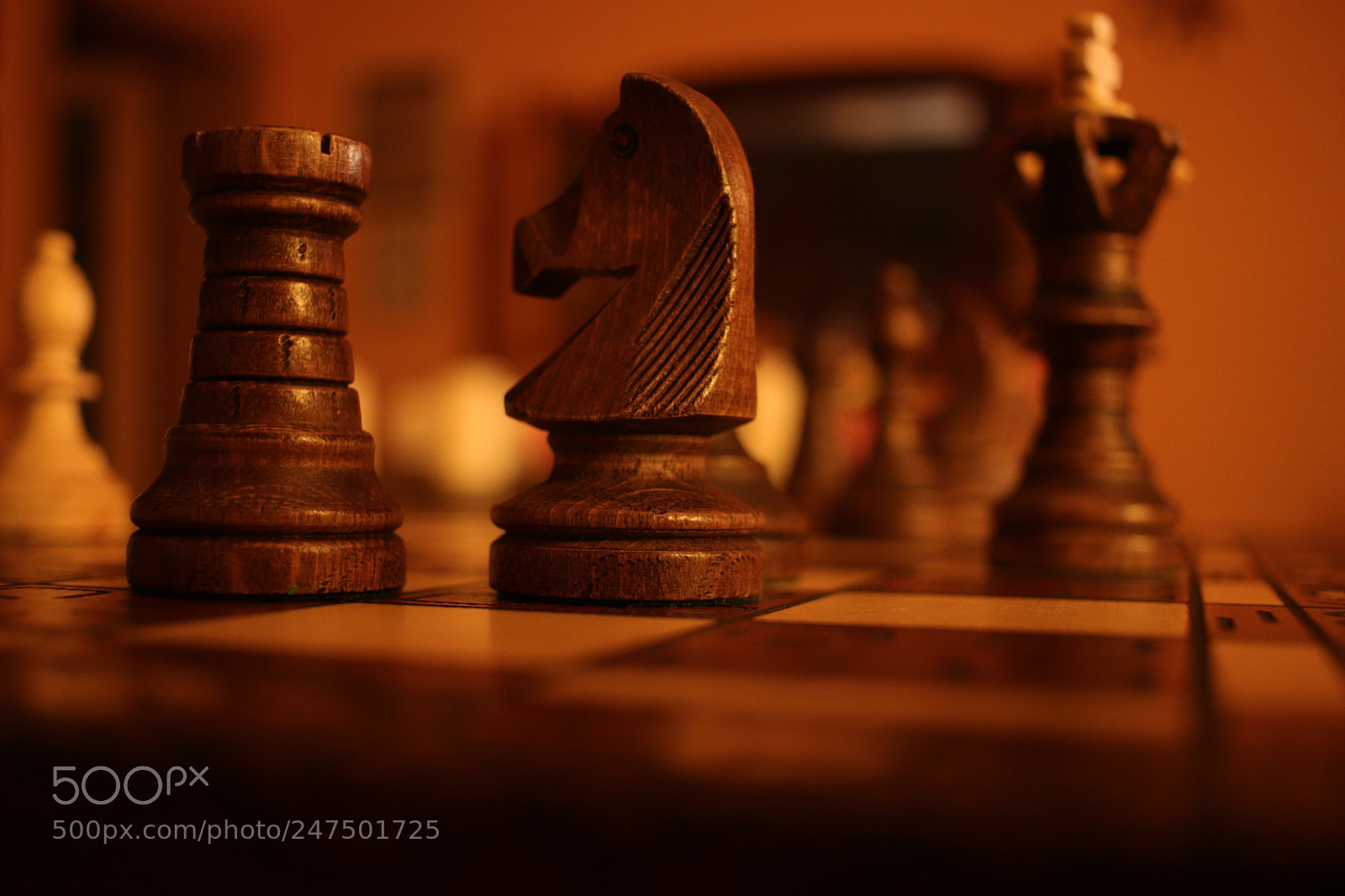 Canon EOS 77D (EOS 9000D / EOS 770D) sample photo. Untitled photography