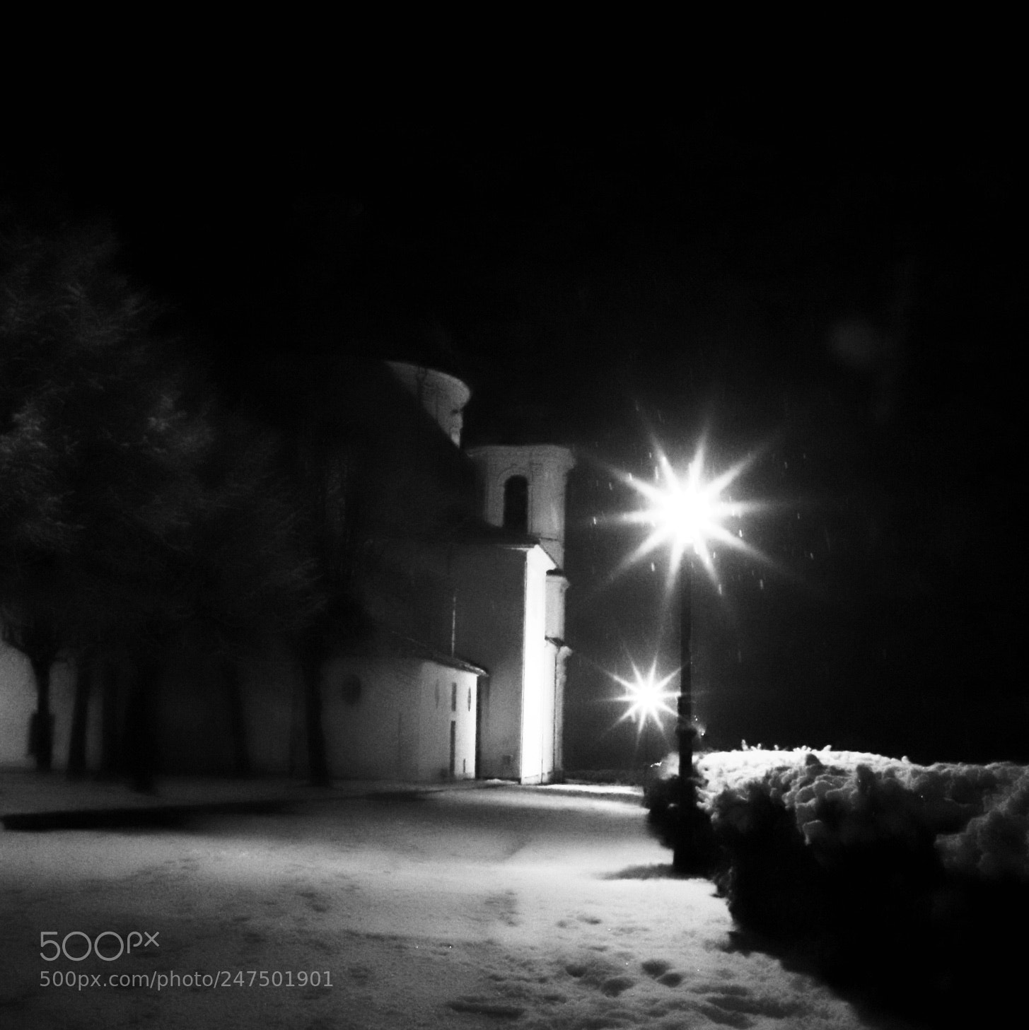 Canon EOS 6D Mark II sample photo. The sound of silence photography