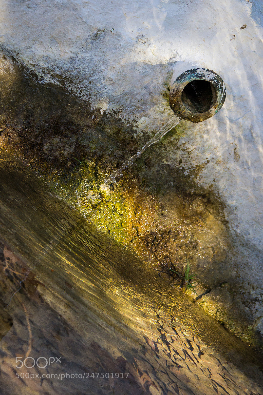 Canon EOS 600D (Rebel EOS T3i / EOS Kiss X5) sample photo. Fresh water photography