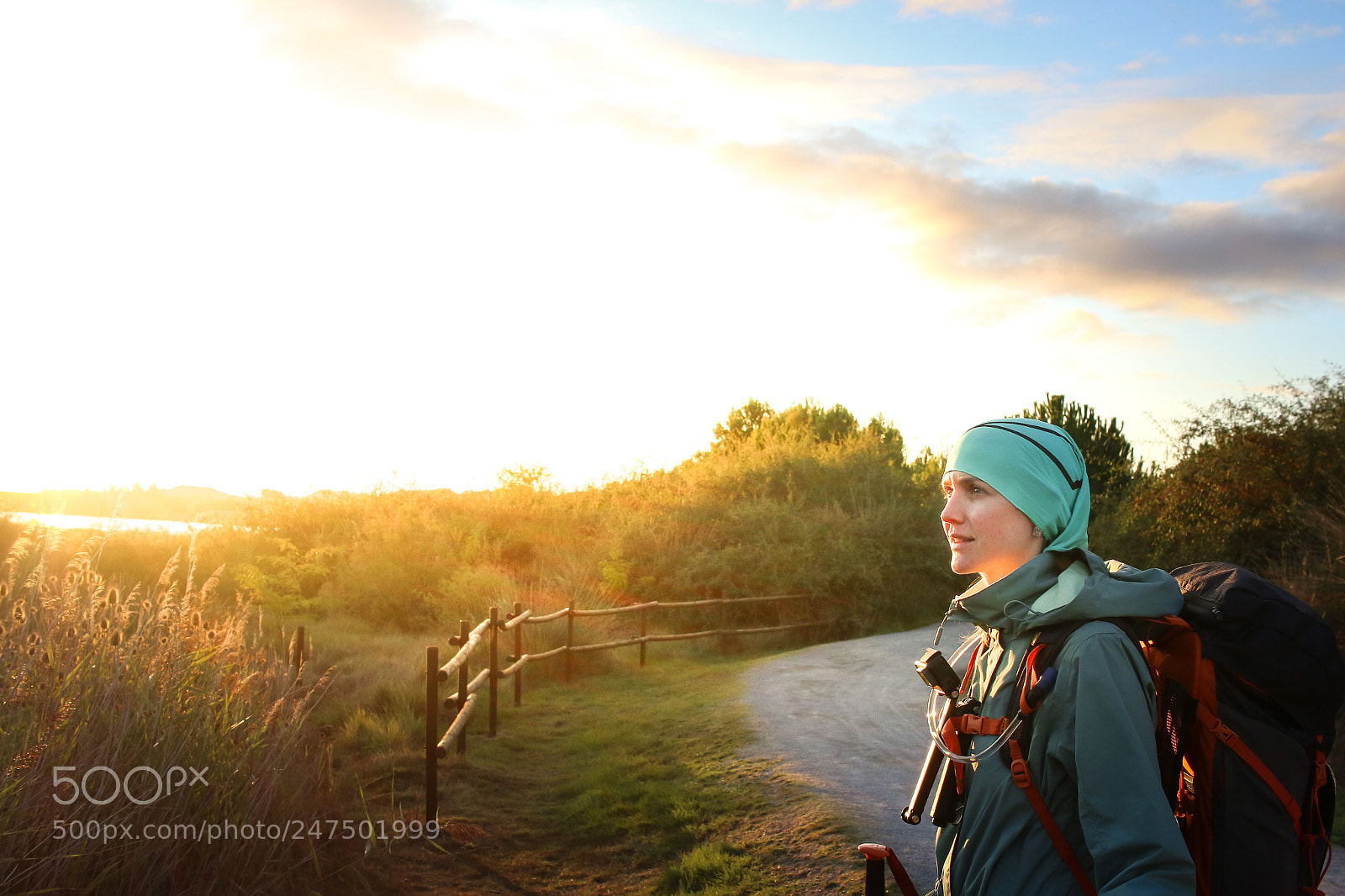 Canon EOS 7D Mark II sample photo. Paulohd photography