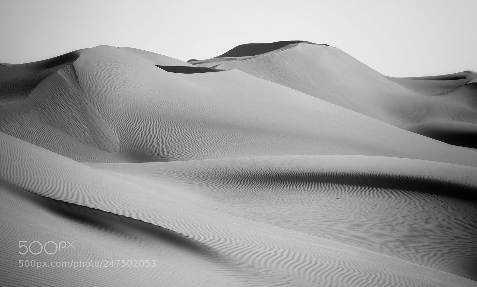 Olympus OM-D E-M1 Mark II sample photo. Oman sand dunes photography