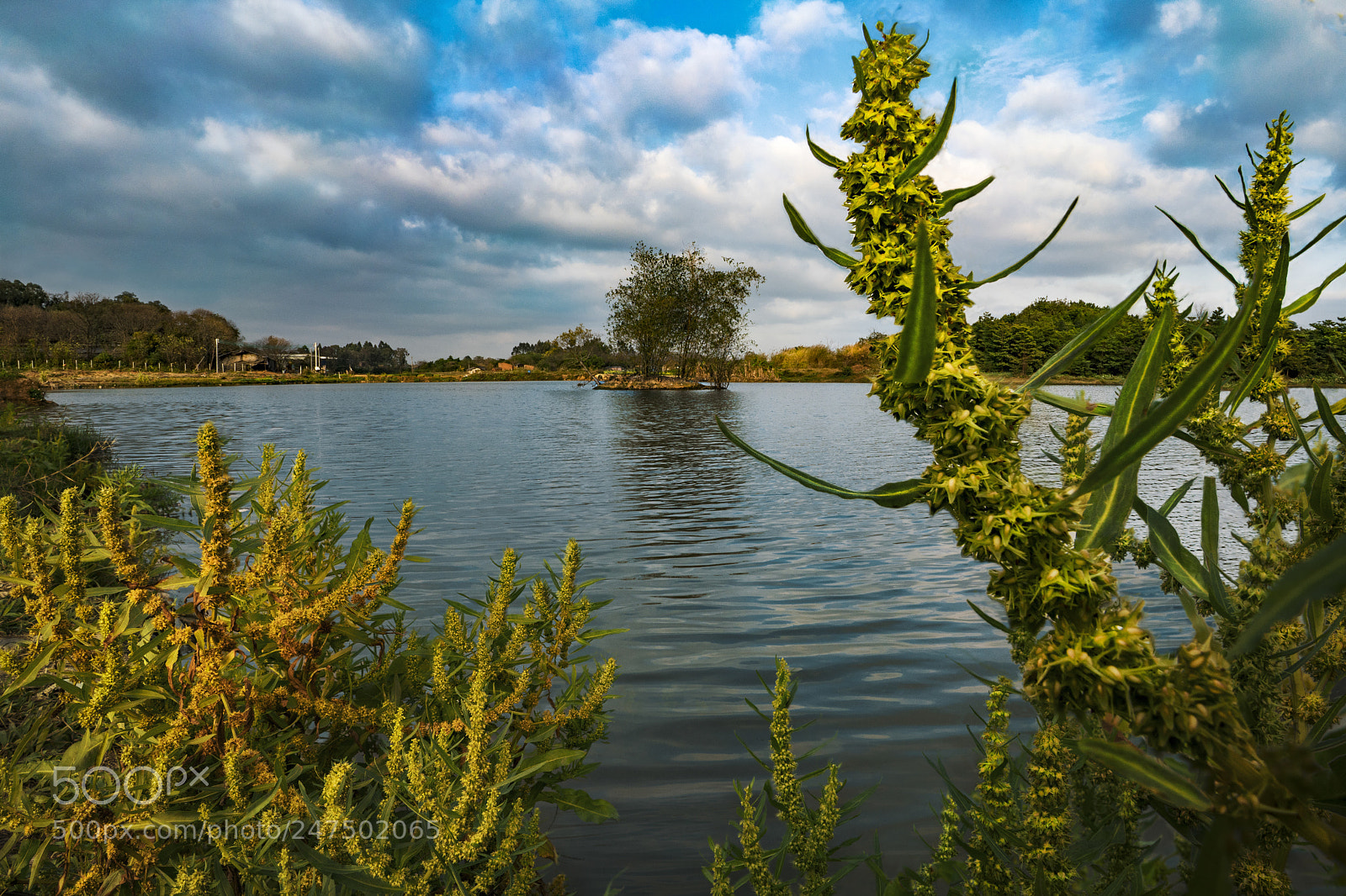 Sony a7R II sample photo. Mixed feelings blue photography