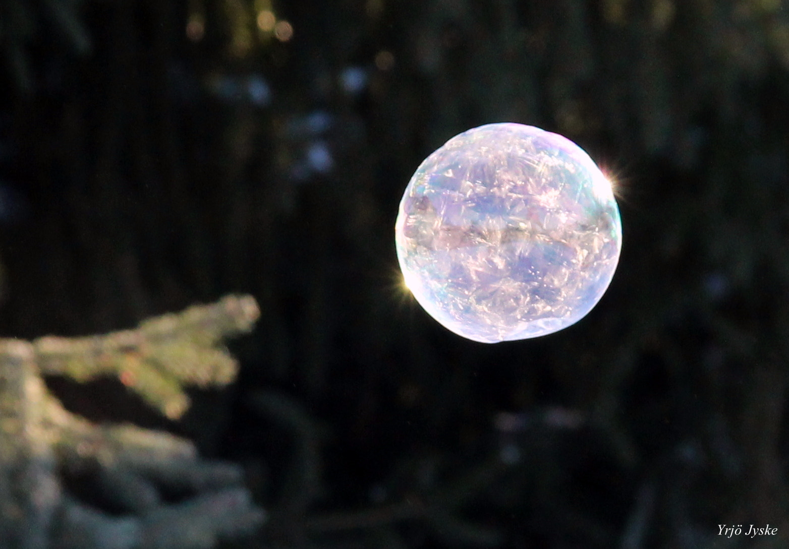 Sigma 18-200mm f/3.5-6.3 DC OS sample photo. "the flying crystal ball" photography