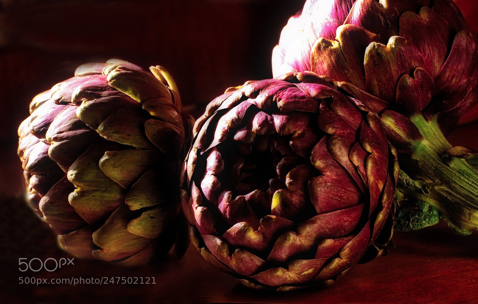 Fujifilm FinePix S5 Pro sample photo. Artichokes photography