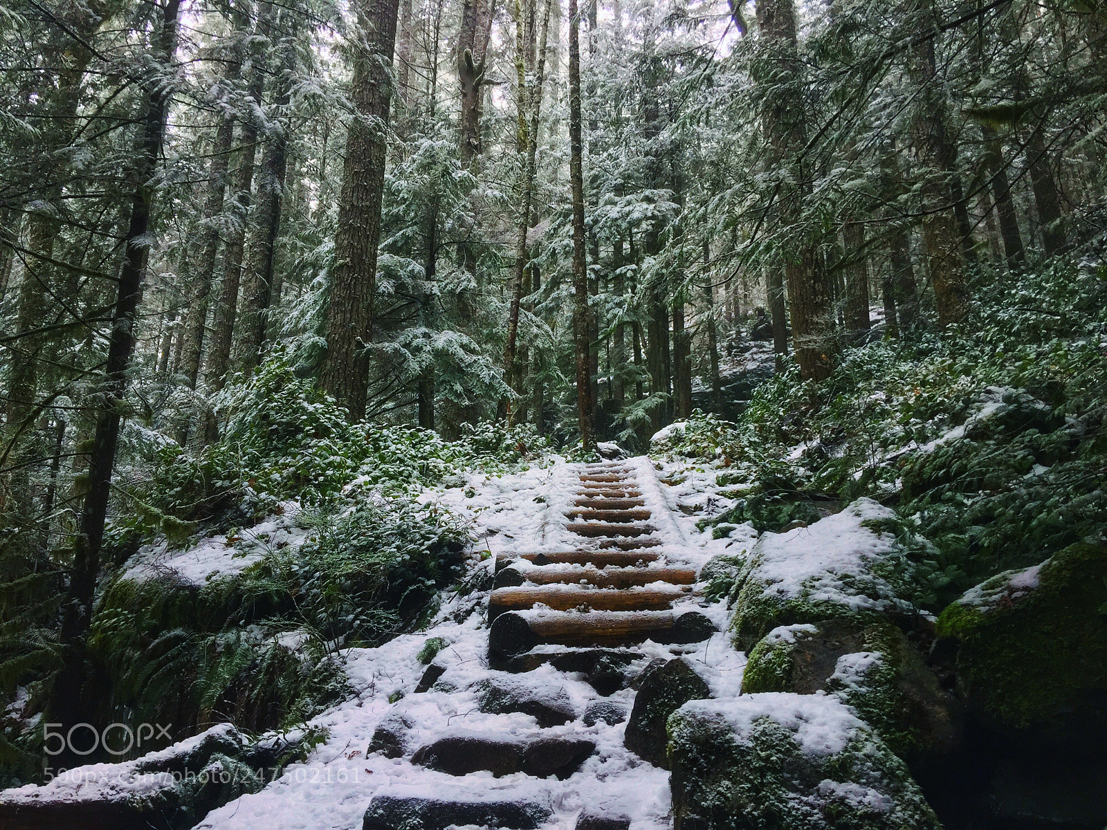 Apple iPhone 6 Plus sample photo. Winter hike photography