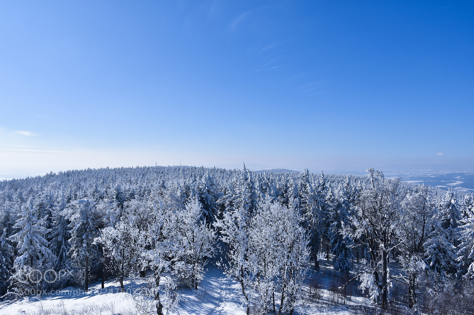 Nikon D3400 sample photo. Snow forest photography