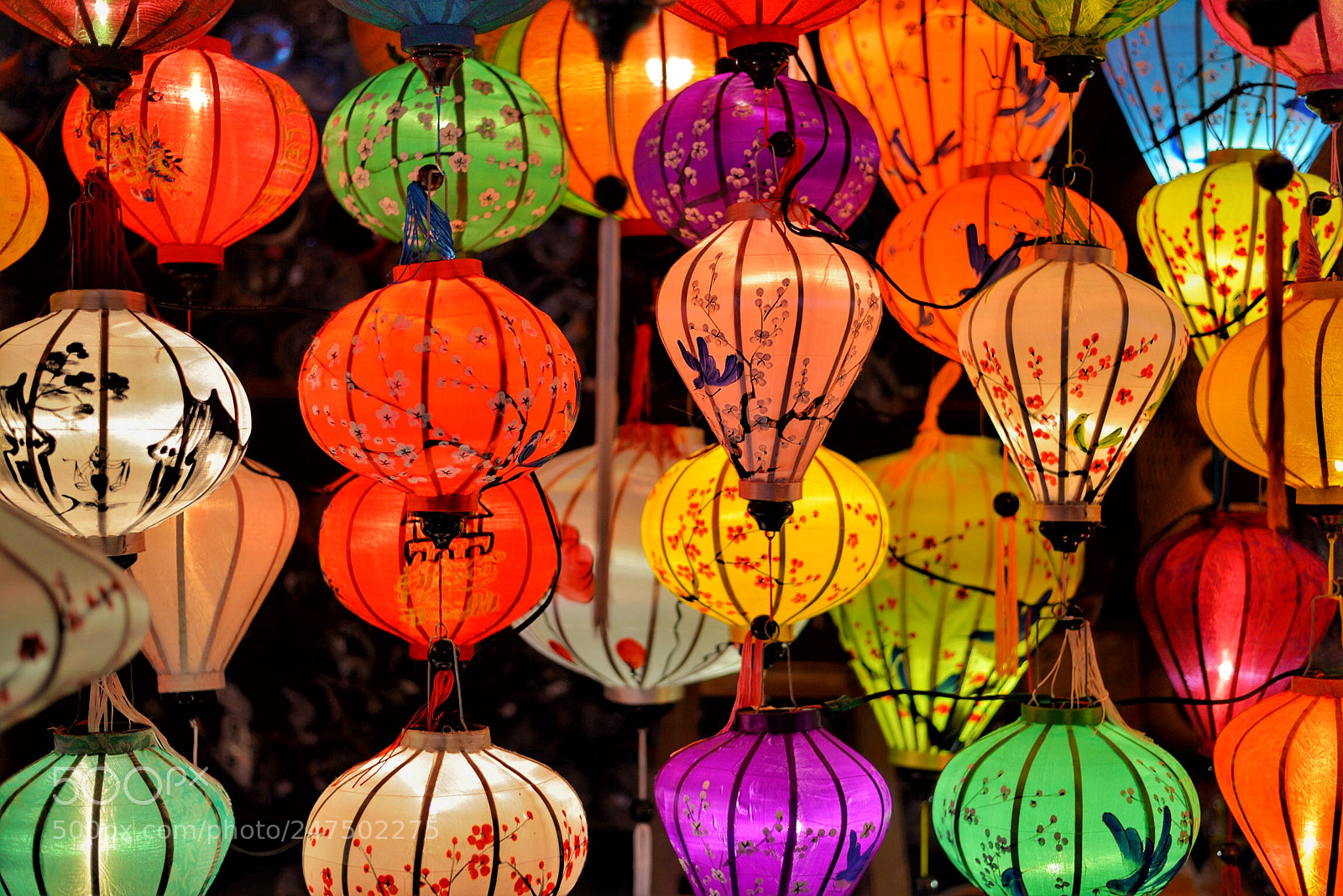 Nikon D610 sample photo. Untitled photography
