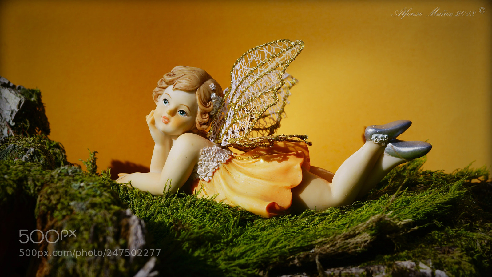 Sony ILCA-77M2 sample photo. Hada alada photography