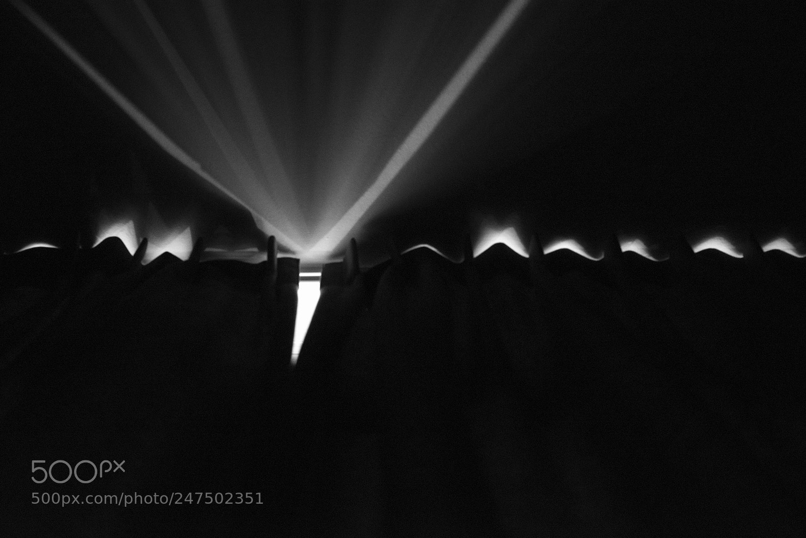 Nikon D800E sample photo. In the bed photography