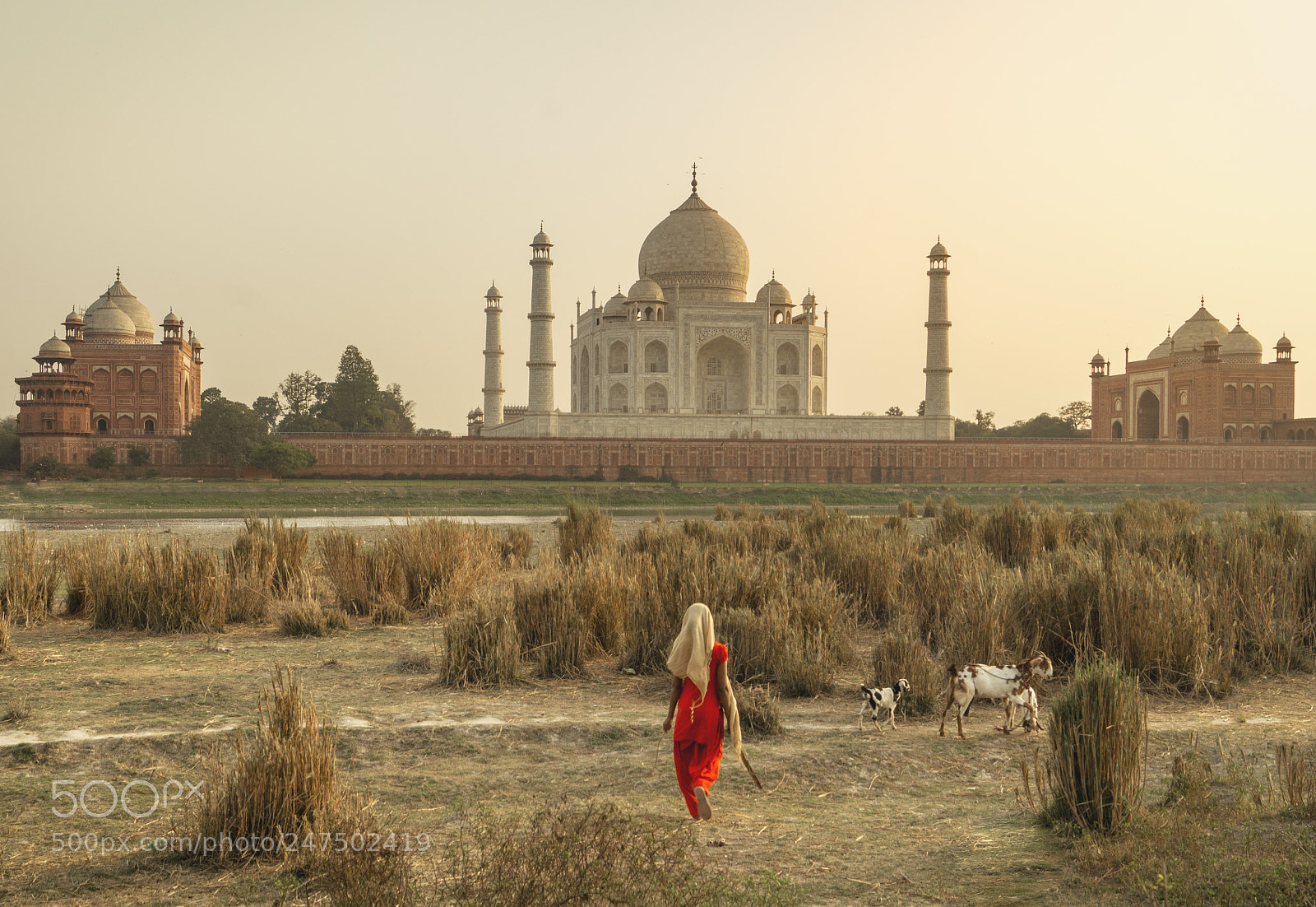 Sony SLT-A57 sample photo. Taj mahal photography