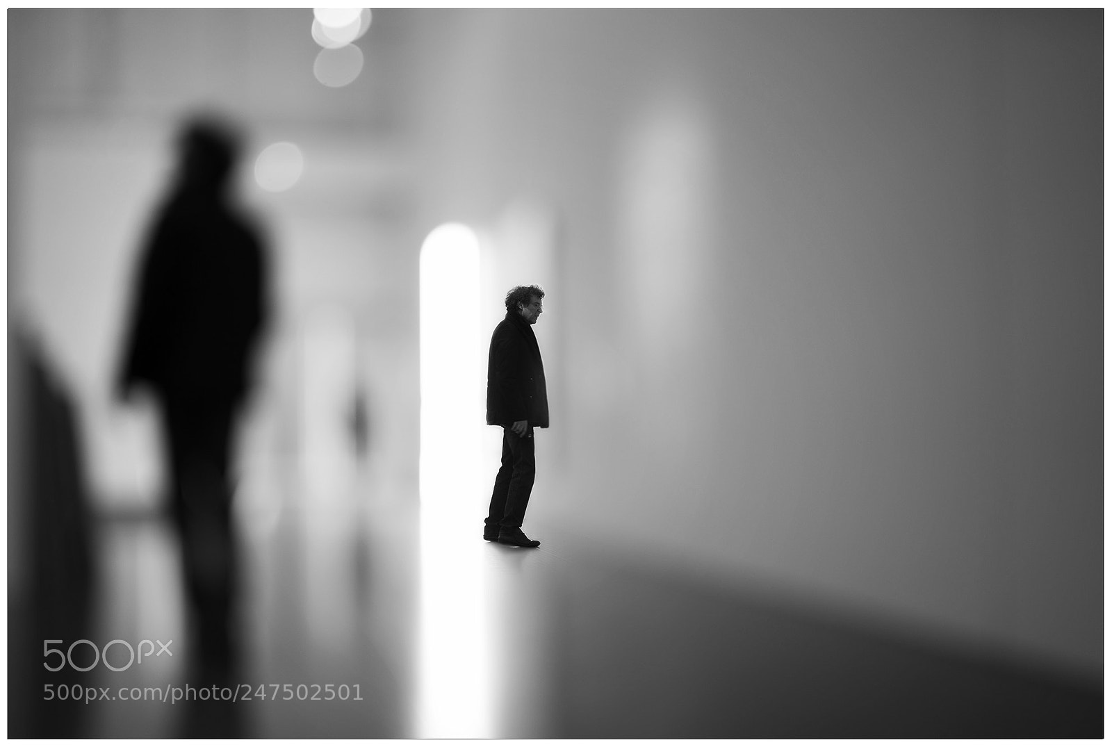 Sony a7R II sample photo. Double you photography