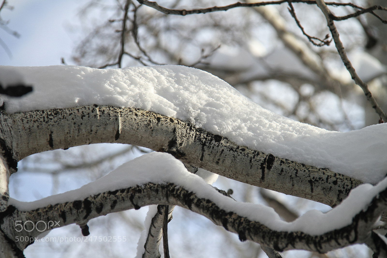 Canon EOS 7D sample photo. Untitled photography