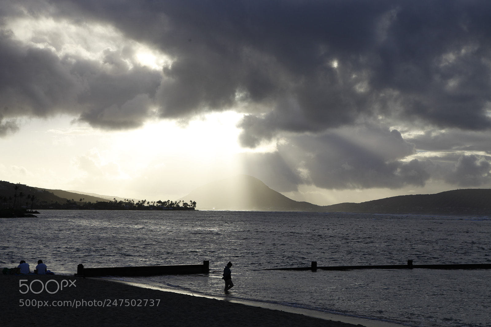 Canon EF 24-105mm F4L IS USM sample photo. Untitled photography