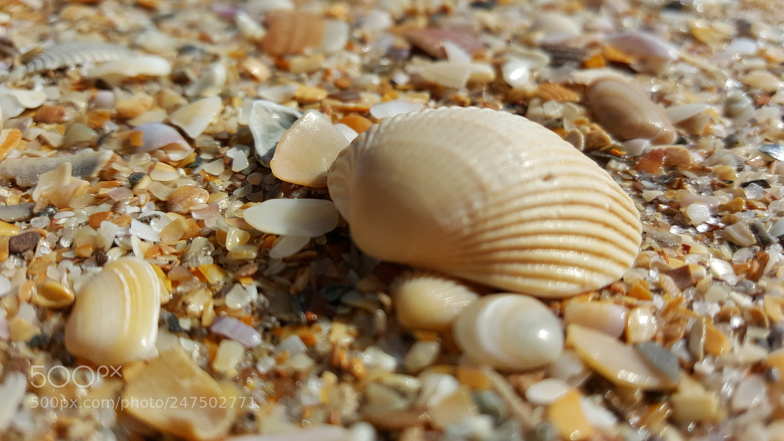 Samsung Galaxy S6 sample photo. Untitled photography