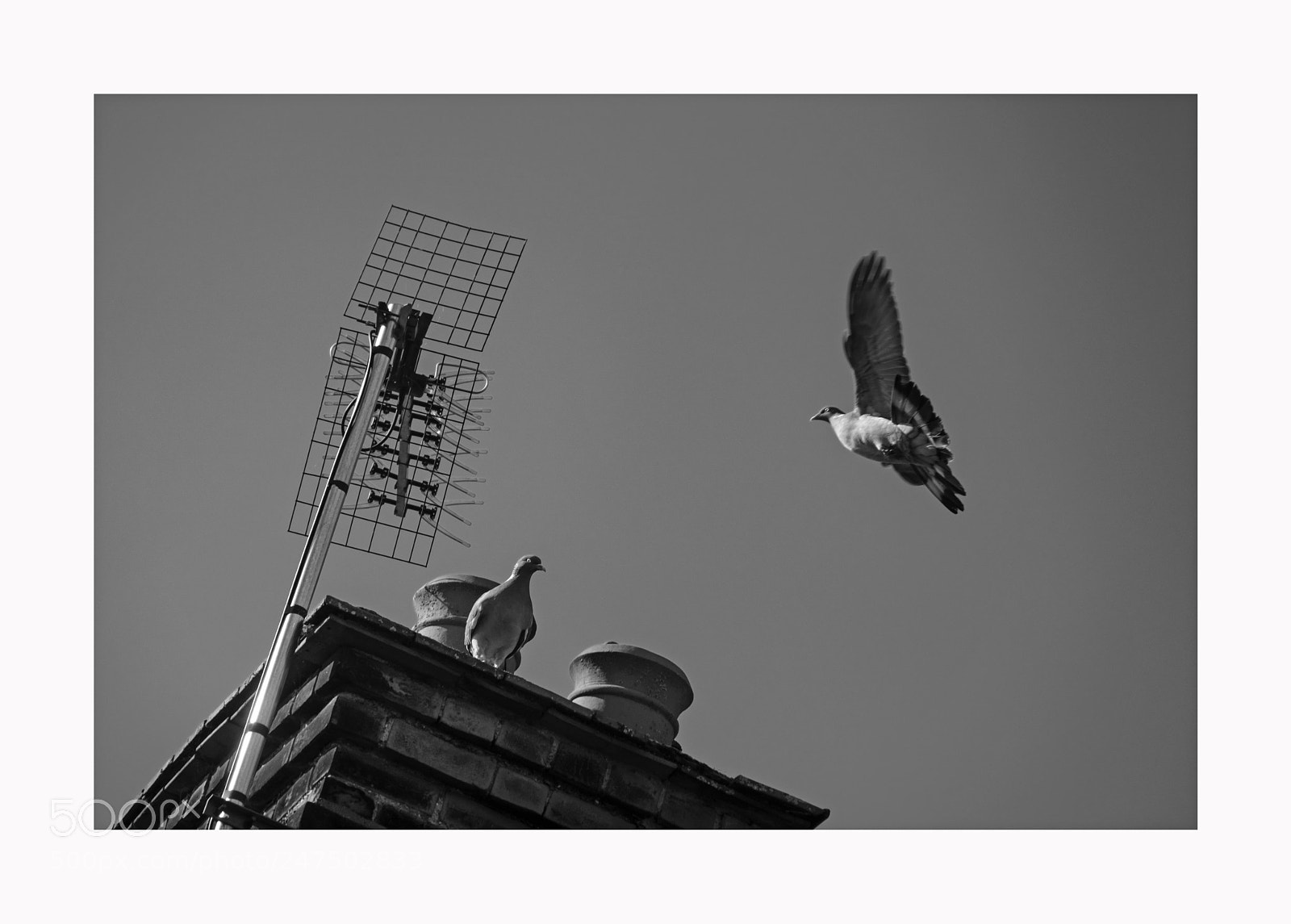 Fujifilm X-Pro2 sample photo. On the chimney photography