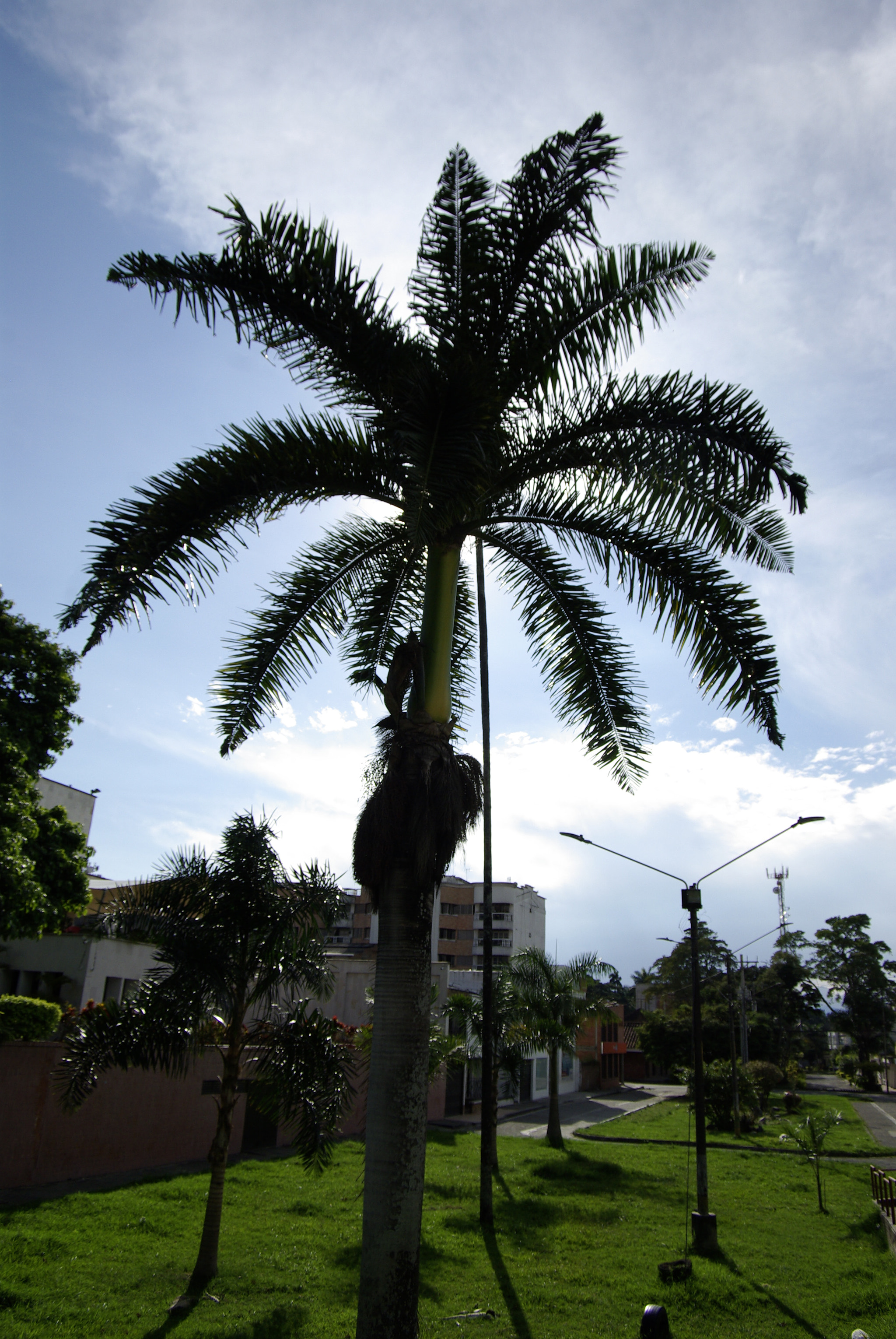 Pentax smc DA 16-45mm F4 ED AL sample photo. Reflection photography