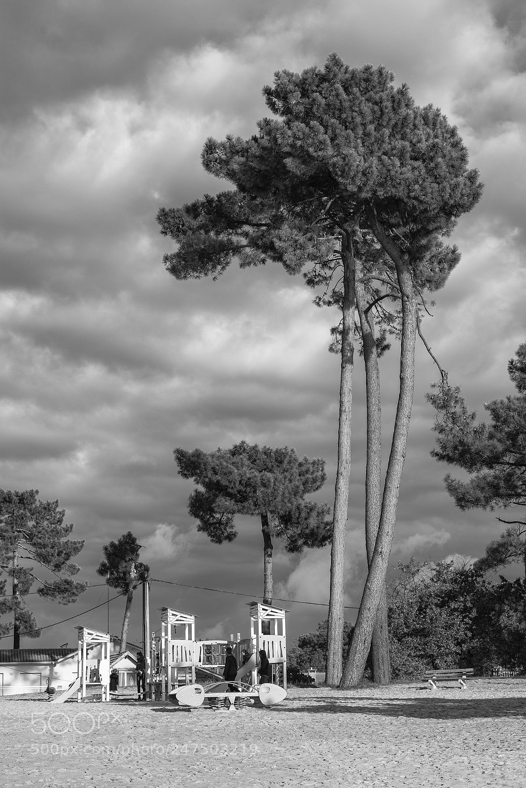 Nikon D800E sample photo. Play ground on the photography
