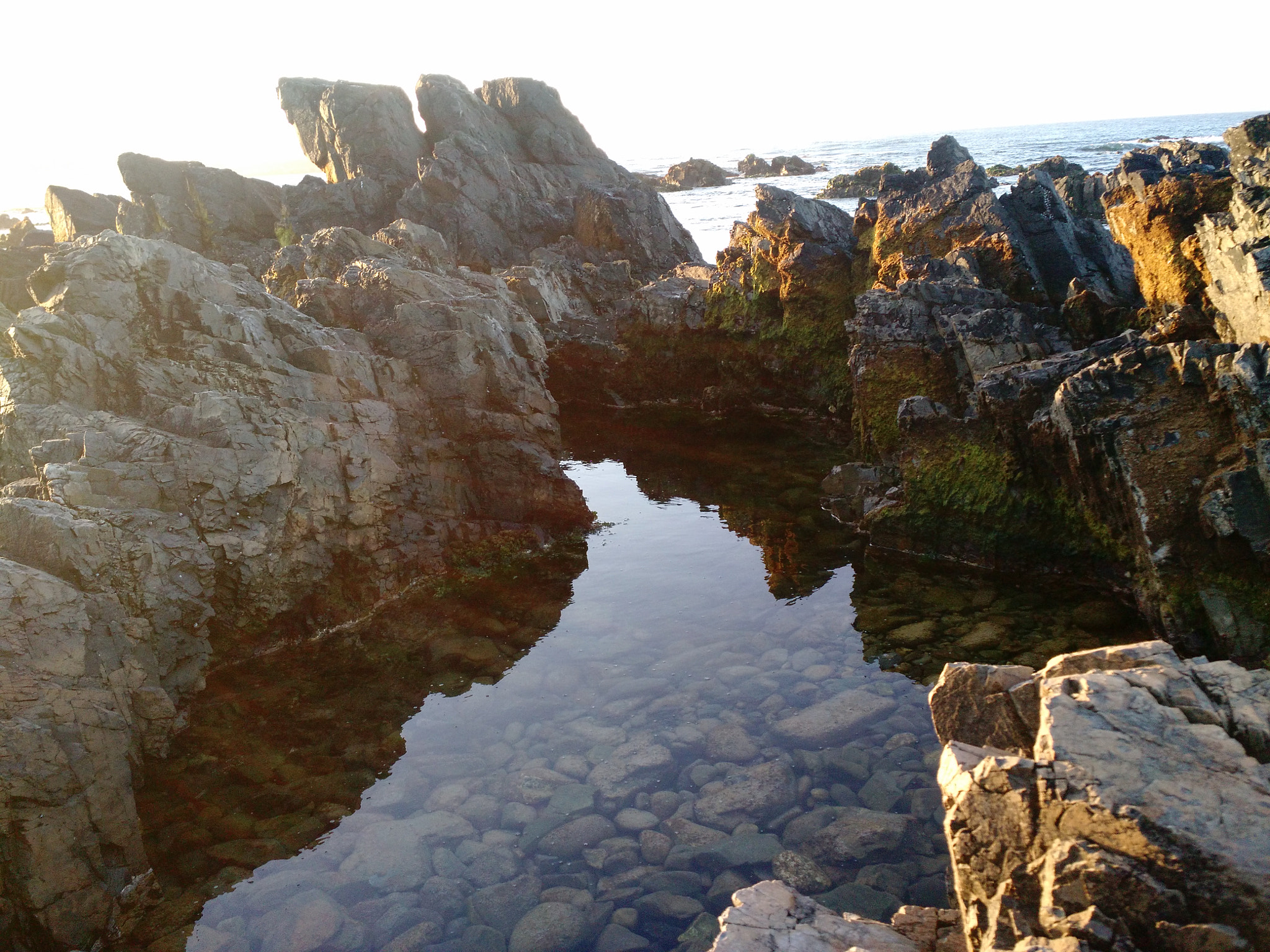 Motorola Moto X (2nd Gen) sample photo