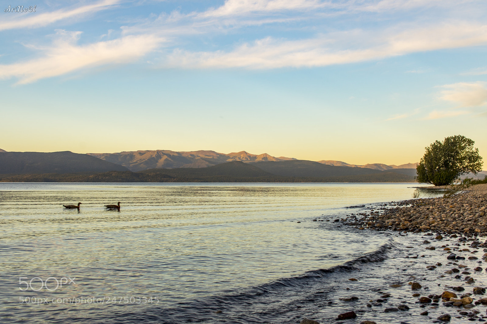 Canon EOS 750D (EOS Rebel T6i / EOS Kiss X8i) sample photo. Calm on the lake photography