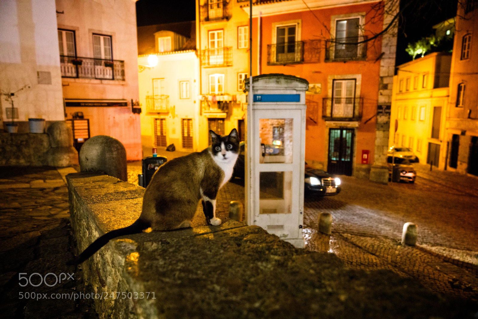 Sony a7R II sample photo. Lisbon photography